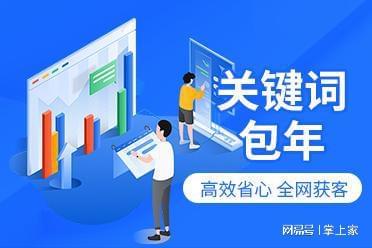 竞价运营实力品牌与制造业网络推广选型参考 专业网络技术服务指南